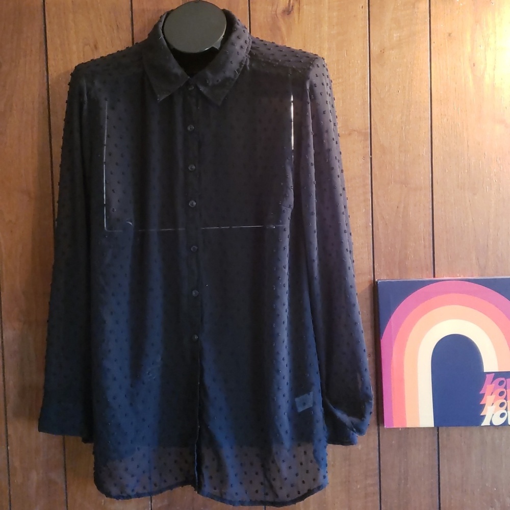 Denim and company sheer button up